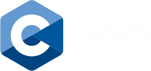 Caws Agency Nigeria Limited